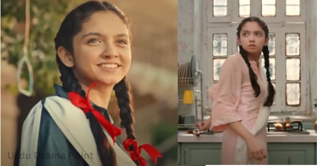 Mayi Ri: New Pakistani Drama Serial