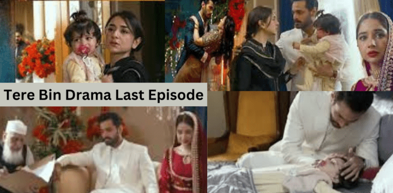 Tere Bin Drama Last Episode