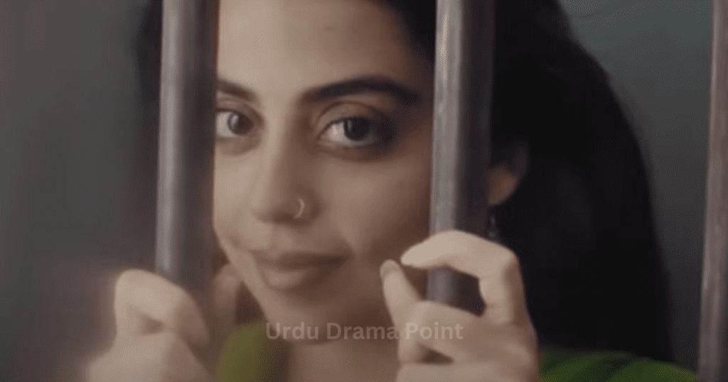 Pakistani Drama 2023 Funniest Series Bashu 