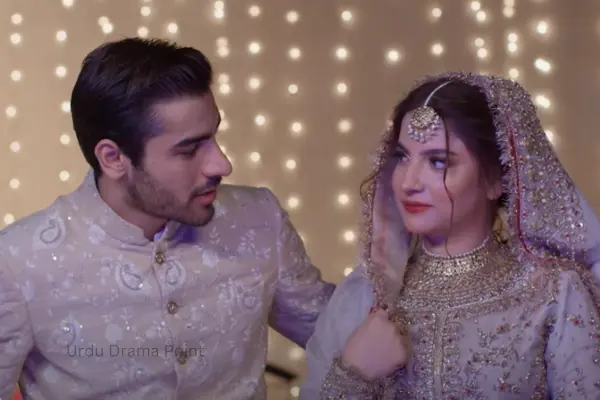 Muhabbat Gumshuda Meri Last Episode Lost Love, Found Again