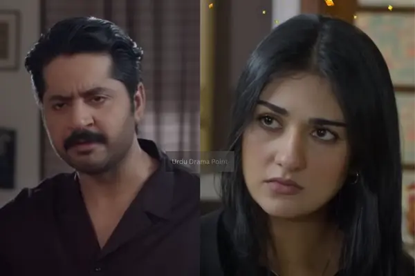 Best Pakistani Dramas 2023 Namak Haram