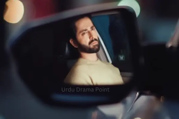 Danish Taimoor Pic In Car Side Mirror