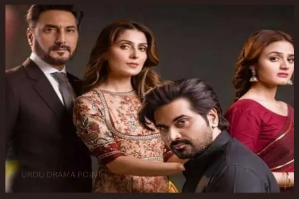 Top 5 Pakistani Dramas Mere Paas Tum Ho Painful Ending