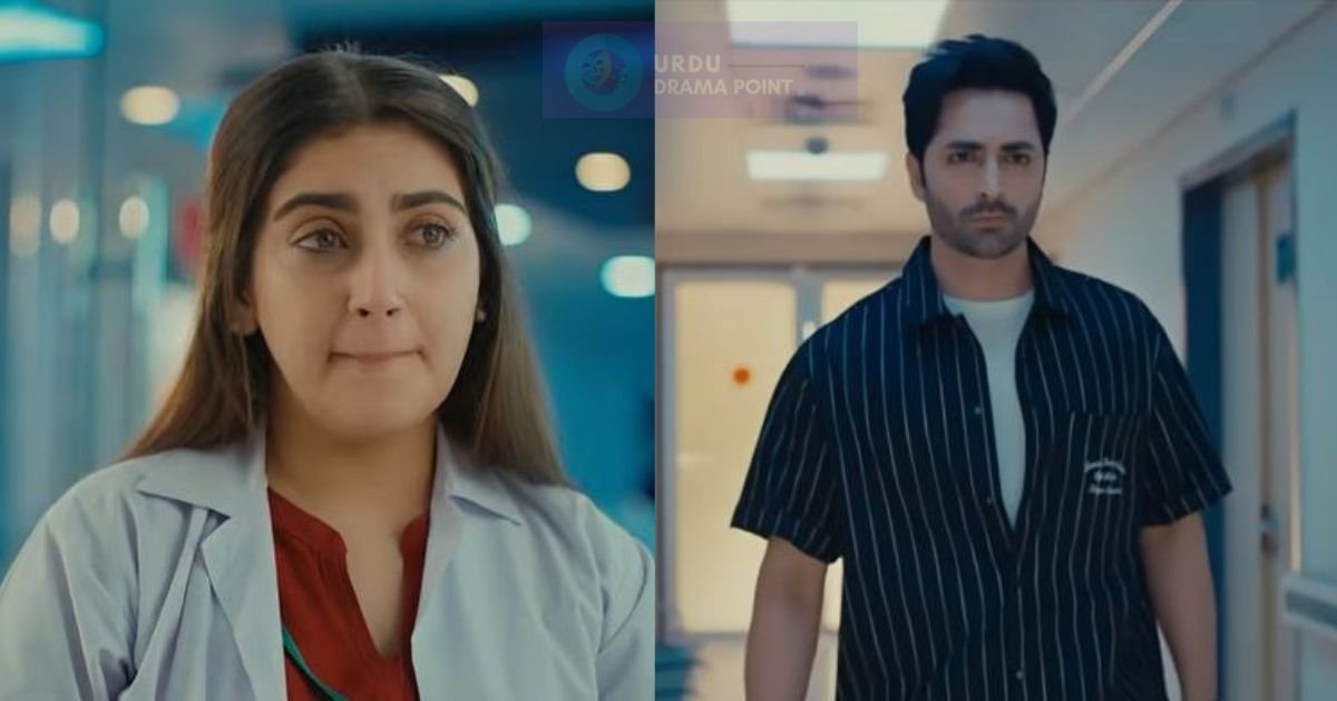 humrahi-drama-geo-tv-cast-story